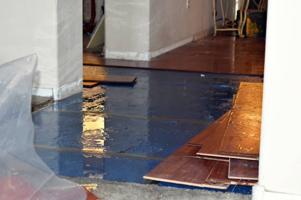 Professional Flood Cleanup technician working in Harrison, MI